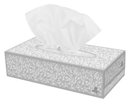 Jangro Luxury Professional Facial Tissue 2ply 36x100sh AG202 TIS1137