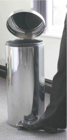 Stainless Steel 30L Pedal Bin CL154-S