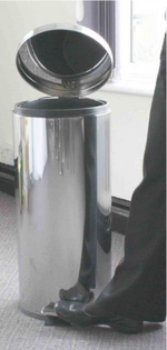 Stainless Steel 30L Pedal Bin CL154-S