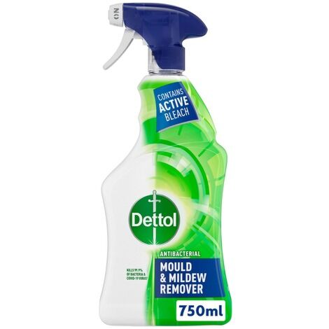 Dettol Mould and Mildew Remover 750ml - RK56173