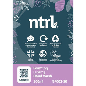 Jangro NTRL Foaming Luxury Hand Wash 500ml - BF002-50 | Eco-Friendly Blueberry Hand Soap