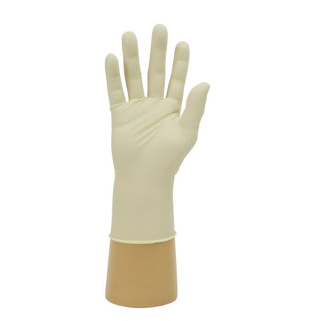 Latex Powder-Free Gloves XL - product shot of a single glove on a display hand.